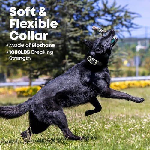Regal Dog Products Small Black Waterproof Dog Collars with Custom Engraved Name Plate | Vinyl Coated, Anti, Easy to Clean Personalized Biothane Dog Collar - Other Sizes for Medium & Large Dogs - color: Black, size: Small Collar