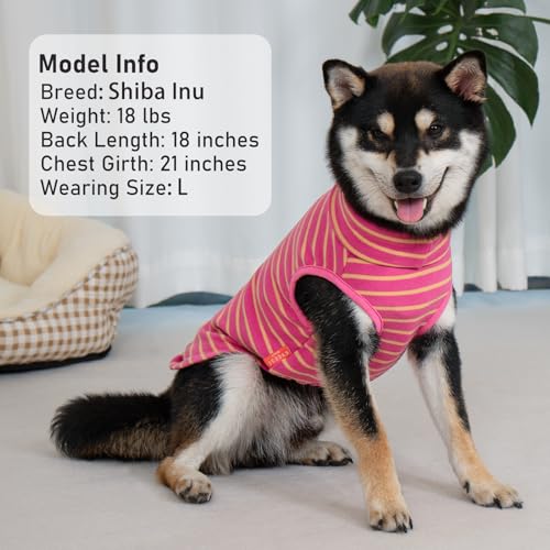 KYEESE 2Pack Dog Sweater Soft Dogs Clothes Stretchy Pet Sweatshirt Dog Sweaters for Small Dogs Girl Turtleneck Pet Coats Pullover Small Pets Sweaters - color: 8# Pink+Pink Stripe, size: Medium (7-11lbs)