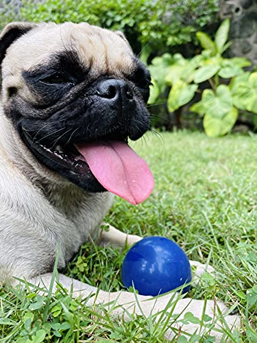 SuperChewer Tough Dog Ball Toy | Lifetime Replacement | Strong Natural Rubber | Great Dog Fetch Toy | Chew Toys for Dogs | Ultra Durable Chew Toys for Aggressive Chewers | Large Breed Tested - size: Small - 2 Inch / 6 oz