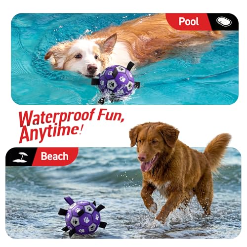 QDAN Dog Toys Soccer Ball with Straps - Dog Water Toy, Puppy Birthday Gifts, Durable Dog Balls for Small Medium Dogs （6 Inch） - color: Purple White, size: 6 Inch