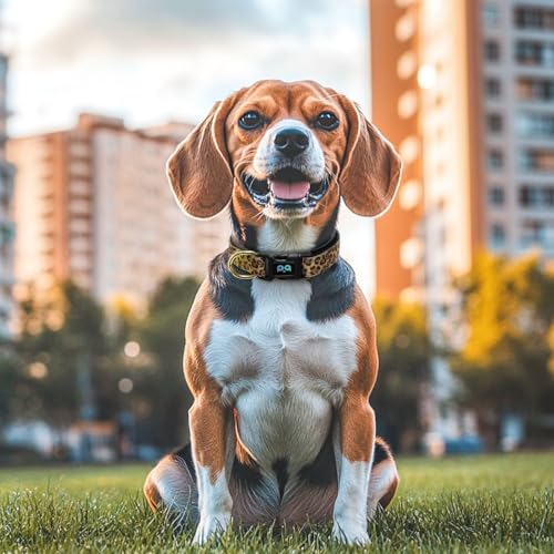 QQPETS Reflective Dog Collar with Soft Neoprene Padded Breathable Nylon Pet Collar Adjustable for Small Medium Large Dogs - color: Leopard print, size: S