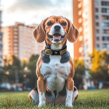 QQPETS Reflective Dog Collar with Soft Neoprene Padded Breathable Nylon Pet Collar Adjustable for Small Medium Large Dogs - color: Leopard print, size: S