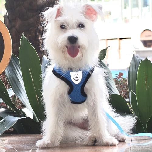 Pet Dog Vest Harnesses Puppy Cotton Polyester Adjustable Dog Mesh Harness Travel Chest Strap Vest Reflective (M, Blue) - color: Blue, size: M