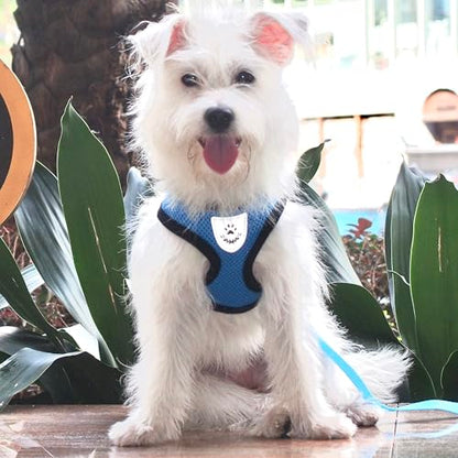 Pet Dog Vest Harnesses Puppy Cotton Polyester Adjustable Dog Mesh Harness Travel Chest Strap Vest Reflective (M, Blue) - color: Blue, size: M