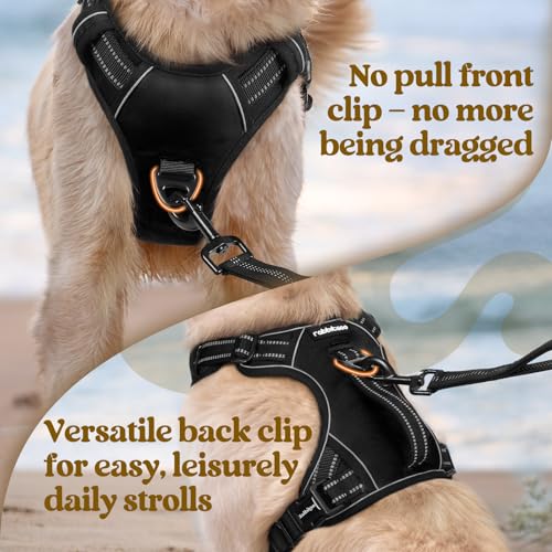 rabbitgoo Dog Harness for Large Dogs, No Pull Pet Harness with Soft Padded Handle, Adjustable Reflective Vest with 3 Buckles, Easy Walking Harness with 2 Leash Clips, Black, L - color: Black, size: Large