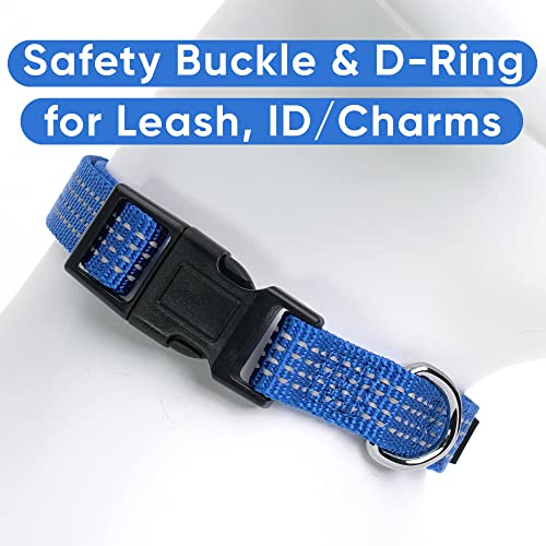 Pawtitas Reflective Dog Collar for Small Dogs – Adjustable Nylon Puppy Collar with Quick-Release Buckle | Fits Neck 11–16 in | Night Safety Training Collar | S | Blue - color: Blue, size: Small (Pack of 1)