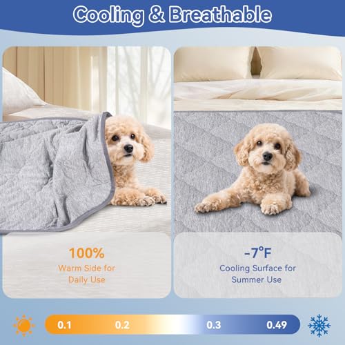Premium Cooling Dog Blanket,Ultra-Soft & Lightweight Reversible Throw for Dogs,Washable Pet Throw Blanket with Q-MAX>0.4 for Summer,Couch Protector & Dog Bed Cover & Reusable & Built-in Strap 30x40 IN - size: M "30x40"