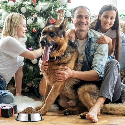 Tanlade 8 Pack Stainless Steel Dog Bowls Metal with Rubber Base Non-Slip Pets Puppy Cats Feeding Food and Water Bowls Dishwasher-Safe for Indoor Small Medium Large Dogs Cats Kitten Rabbit(10.1 oz) - size: 10.1 oz