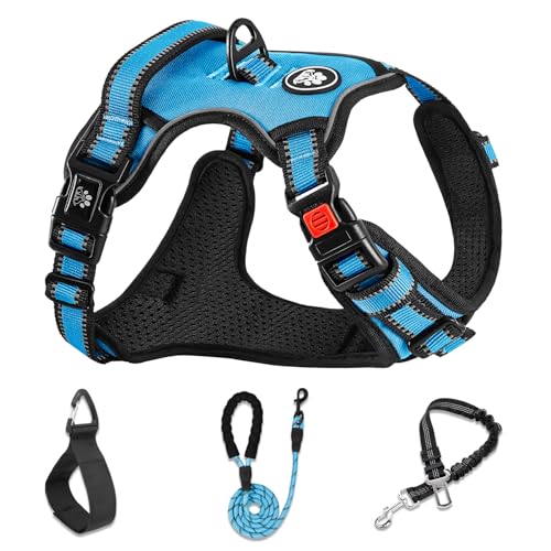 No Pull Dog Vest Harness with Leash, Adjustable Reflective Oxford Pet Harness with Easy Control Handle for Small Dogs, Blue - color: Blue, size: 【S】neck 11-15" chest 15-21"