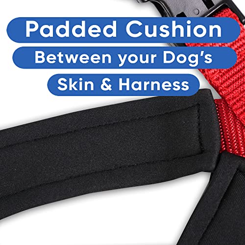 Pawtitas Reflective Padded Dog Harness for Small Dogs – Adjustable Puppy Step-in Vest | Fits Chest 18–22 in | No Pull Personalized Training Harness | S | Red - color: Red, size: Personalized Small (Pack of 1)