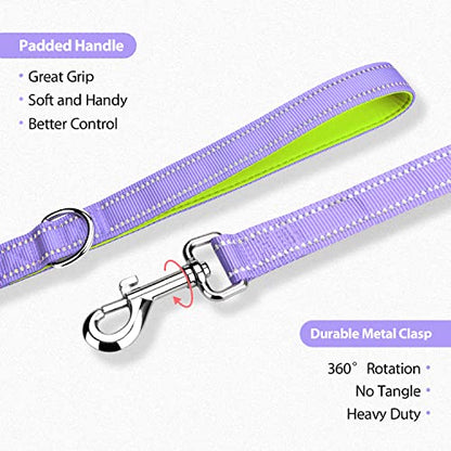 PHOEPET 5 Feet Dog Leash - Dual-Side Reflective - Soft Padded Handle - Fit for Walking, Training or Exploring Hiking, Camping (Baby Purple + Green Base) - color: Baby Purple + Green Base