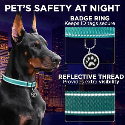 TECEUM Reflective Dog Collar – Aquamarine – M – Extra Soft Padding – Basic Nylon Pet Collar – Quick Release Buckle – Fits Small, Medium and Large Dogs, Puppies, Cats – ESA & Service Dog Options - color: Aquamarine, size: Medium
