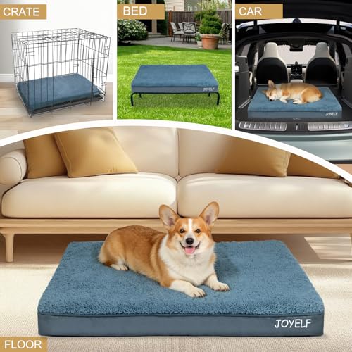 XXLarge Dog Crate Bed Mats Orthopedic Dog Bed,Egg Crate Foam Dog Mat with Removable Cover, a Squeaker Toy as Gift - size: XXLarge-54"x44"x4"
