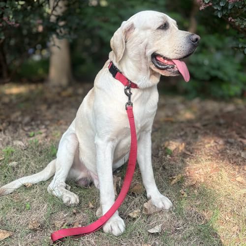 Premium Classic Nylon Webbing Adjustable Dog Collars,Soft and Smooth Traditional 3/4 Inch Wide Dog Collars with Quick Release Buckle for Medium Dogs Walking,Training. (Medium, Chili Pepper) - color: Chili Pepper, size: Medium 13-17 Inches