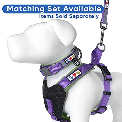 Pawtitas Reflective Padded Dog Harness for X-Small Dogs – Adjustable Puppy Step-in Vest | Fits Chest 14–18 in | No Pull Training Harness | XS | Purple - color: Purple, size: X-Small (Pack of 1)