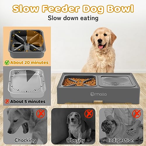 Elevated Slow Feeder Dog Bowls with No Spill Water Bowl, Raised Bowl for Large Medium Small Dogs, Food Stand Splash Guard, 4 Heights 3.7'', 8.5'', 10.1'', 11.7'', Grey (GW03)