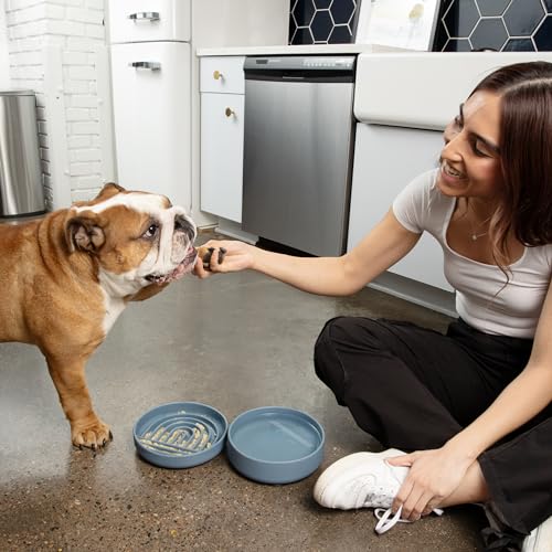 Should We Go? Slow Feeder for Dogs & Puppies, The Slowdown Bowl Silicone Slow Eating, Modern Lick Mat Design, Reduces Gulping, Fits 2 Cups, 7.5” Across x 1.5” Tall, Mealtime Challenge, Medium-Tan - color: Tan - Rainbow Design, size: Medium (7.5” Across x