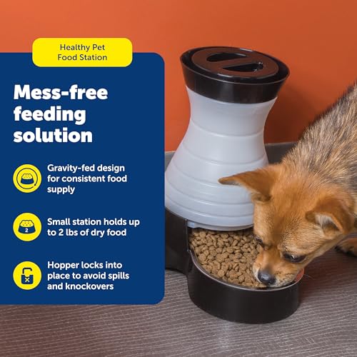 PetSafe Healthy Pet Food Station - Automatic Indoor Gravity Cat & Dog Feeder - Space-Saving Self Feeder - Easy to Clean - Small - Up to 2 lb Kibble Capacity (Pack of 2) - size: Small (Pack of 2)