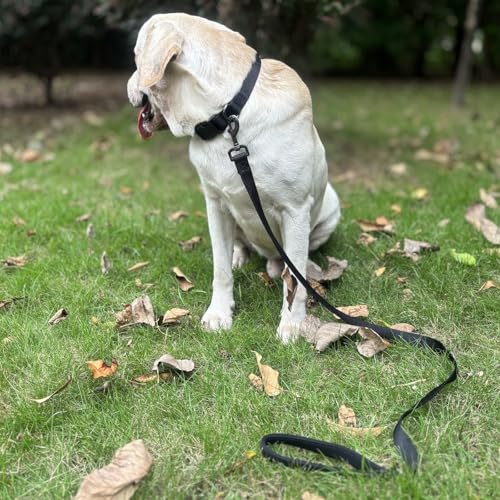Premium Classic Sturdy Nylon Webbing Adjustable Dog Collars,Soft and Smooth Regular 5/8 Inch Wide Dog Collars with Quick Release Clasp for Pup Dogs Walking,Training.(Small, Black) - color: Black, size: Small 11-14 Inches
