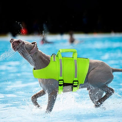 Queenmore Dog Swim Vest - Lightweight Adjustable Reflective Puppy Pet Float Life Preserver with Back Zip, Rescue Handle, Metal Hook (Green S) - color: Green, size: Small