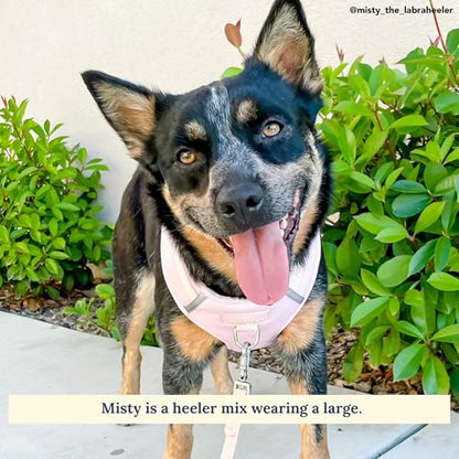Lucy & Co. The Rosewater No-Pull Dog Harness - Size Small - Vest to Stop Pulling & Walk Easy - Comfortable Leash Training Product w/Adjustable Chest & Neck Straps - color: The Rosewater No-Pull Harness, size: Small