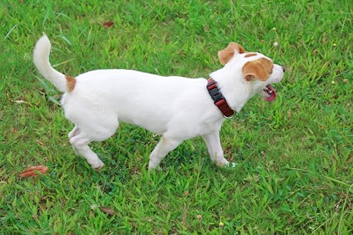 Mikivery Nylon Dog Collar with Quick Release Buckle Soft Adjustable Sturdy for Small Medium Large Dogs Brick,L - color: Brick, size: L：17.5"-25.5"