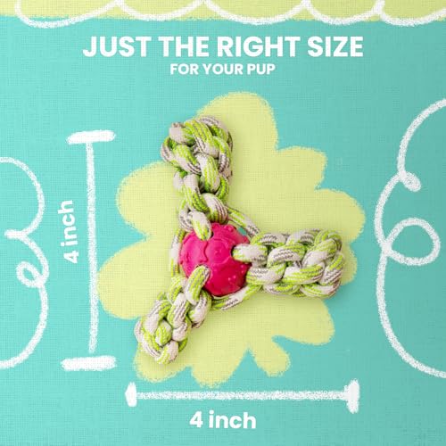Snugarooz Mini Fling N' Fun Dog Toy – Strong Rubber & Rope Chew Toy for Aggressive Chewers - Perfect for Small Dogs - Aid Dental Health - style: Mini Fling N' Fun