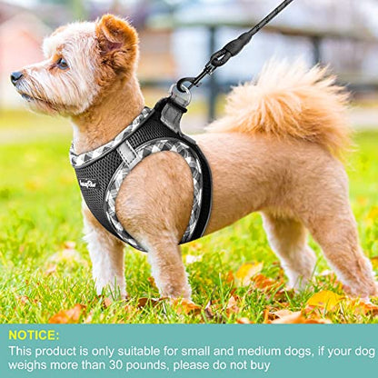 haapaw Dog Harness with Leash Set, No Pull Adjustable Reflective Step-in Puppy Harness with Thickened Padded Vest for Extra-Small/Small Medium Dogs - color: Black, size: XS