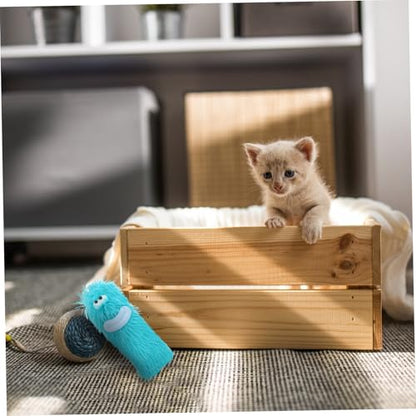 ibasenice Interactive Catnip Plush Toy for Kittens Chew-Resistant for Cats Engaging Teething Toy for Chewing Playtime Activities - color: Sky-blue