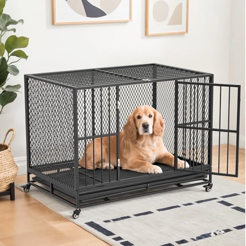 42 Inch Heavy Duty Dog Crate, Folding Dog Kennel for Medium/Small Dogs, Metal Dog Cage with Lockable Wheels, Dual Locks, Removable Tray, Easy Assembly - size: 42.1"L x 27.6"W x 32.3"H