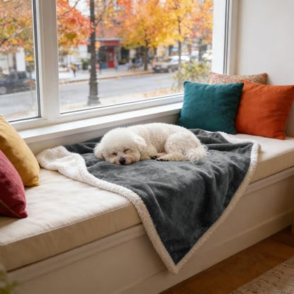 Dog Blankets for Small Dogs, Soft Puppy Blanket, Pet Blankets for Cats, Lightweight & Washable, Perfect for Dog Beds, Car Seats, Creat, 30x40 inches - color: Grey