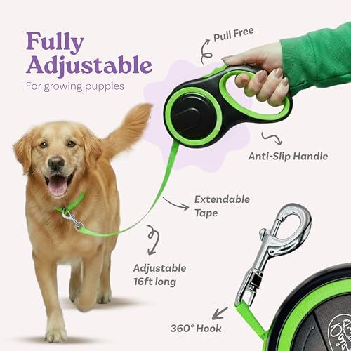 Retractable Dog Leash for Small, Medium & Large Dogs – Heavy-Duty, Tangle-Free, Reflective, 16FT Long, Anti-Slip Soft Handle with One-Hand Brake - 44 LBS /16FT - Small - Green - color: Green