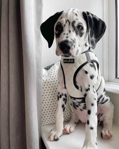 Step in Dog Cat Harness Lightweight Breathable Mesh Soft Padded Pet Vest Reflective Quilted Vegan Leather Choke Free Escape Proof for Small Medium Dogs (White, Medium) - color: White, size: Medium: Neck=10-12.5''/Chest=16-18''