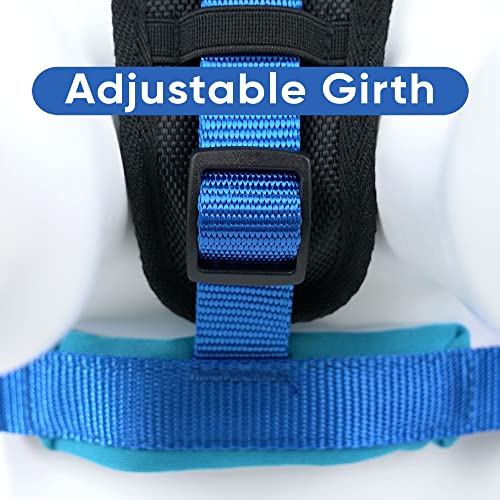 Pawtitas Reflective Padded Dog Harness for X-Small Dogs – Adjustable Puppy Step-in Vest | Fits Chest 14–18 in | No Pull Training Harness | XS | Blue - color: Blue, size: X-Small (Pack of 1)