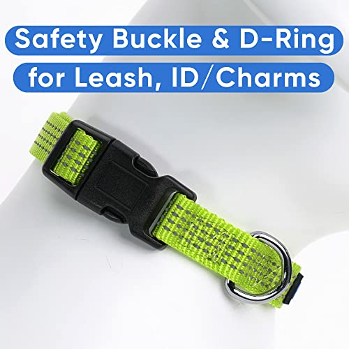 Pawtitas Reflective Dog Collar for X-Small Dogs – Adjustable Nylon Puppy Collar with Quick-Release Buckle | Fits Neck 8–13 in | Night Safety Training Collar | XS | Green - color: Green, size: X-Small (Pack of 1)