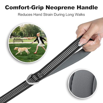 Plutus Pet Heavy Duty Dog Leash with Lockable Aluminum Carabiner, 4/6 Feet Long, Double-Sided Reflective Nylon, Padded Handle, for Puppy, Small, Medium and Large Dogs (Black, 4/5" x 4') - color: Black, size: 4/5" x 4'