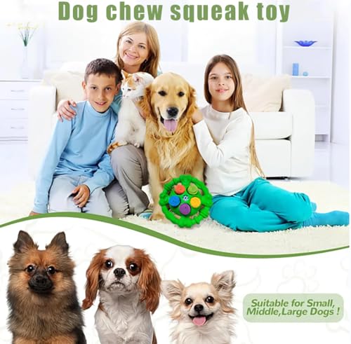 Toys for Aggressive Chewers,Squeaky Tough Dog Chew Toys,Encourage Natural Foraging Skills and Slow Food Training,Indestructible and Durable Nylon Toy,Dog Chew Toys for Large Medium Small Dogs