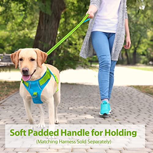 PHOEPET 5 Feet Dog Leash - Dual-Side Reflective - Soft Padded Handle - Fit for Walking, Training or Exploring Hiking, Camping (Green + Blue Base) - color: Green + Blue Base