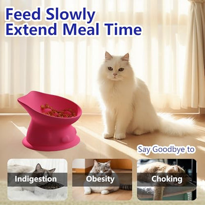 Slow Feed Cat Bowl, Elevated Cat Food Dish with Tilted Design, Dual-Use for Dry and Wet Food, Anti-Vomit, Anti-Choking, Easy to Clean - color: Pink, size: Big