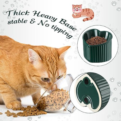 Mumufy 2 Pcs Ceramic Elevated Cat Bowls Tilted Elevated Raised Pet Bowls Anti Vomit Cat Dish for Indoor Stress Free Water Dish Feeder for Puppies, Heart Shaped(Macaron Blue, Peacock Green) - color: Macaron Blue, Peacock Green