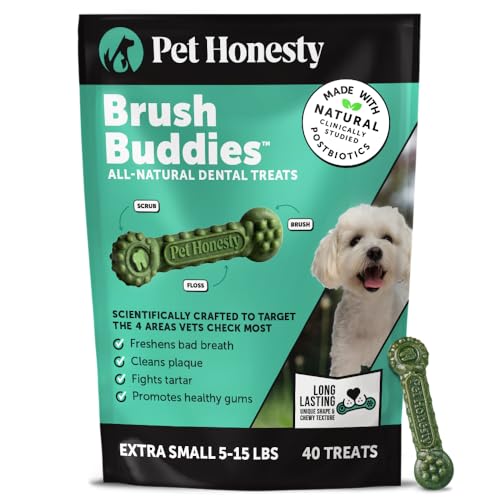 Pet Honesty Brush Buddies All Natural Dog Dental Treats for Dogs – Long Lasting Dental Sticks for Dogs, Teeth Cleaner, Breath Freshener, Plaque & Tartar Remover – Extra Small Dogs (40 Count) - size: Extra Small Dog - 40 Count