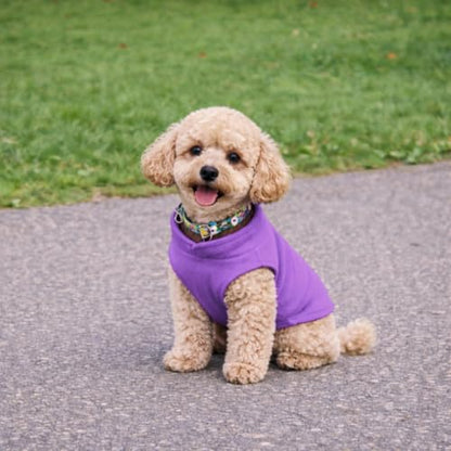 JACKO & CO - Fleece Vest Dog Sweater with Leash Ring - Soft, Warm & Lightweight Pullover Coat for Small & Medium Dogs, Puppies & Cats - Cozy Fall/Winter/Spring Pet Jacket (Purple, Small 4-6lbs) - color: Purple, size: S (4-6lbs)