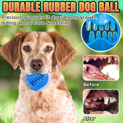 LECHONG 6-Pack Dog Treat Balls, 3-in-1 Glow in the Dark Squeaky Treat Dispenser Ball Toys for Dog, Interactive Durable Rubber Teething Fetch Ball for Small Medium Dogs to Keep Them Busy 2.5in - size: 2.5in Medium Treat