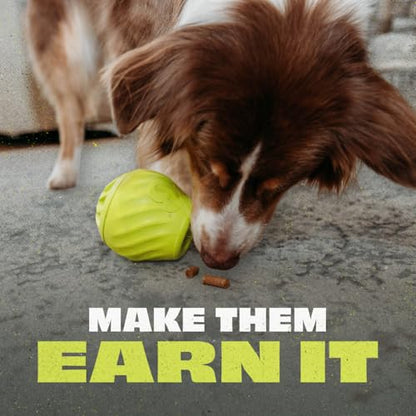 Benebone Pawbler - Natural Rubber Interactive Enrichment Treat and Kibble Dispensing Dog Toy – Great for Boredom - Medium/Large - size: 1 Pack, style: Pawbler