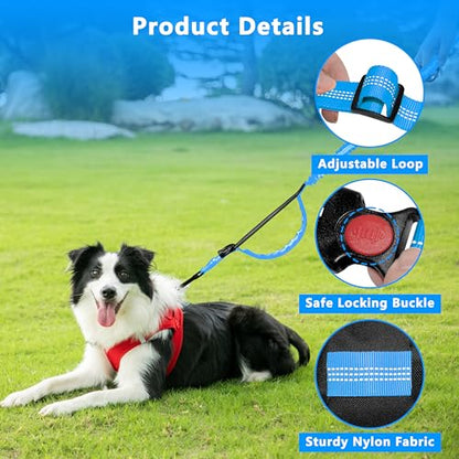 Hands Free Dog Leash with Zipper Pouch, Running Waist Leash for Dog Walking, Adjustable Waist Belt for Large Dogs, Reflective Bungee Design with Two Handle for Hiking, Training, Sky Blue - color: Sky Blue