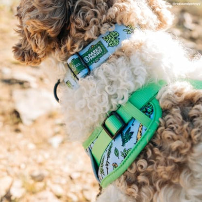 Lucy & Co. x Parks Project Feel the Earth Breath Dog Collar, Adjustable Durable Dog Collar with Cute Print, Small - color: Feel the Earth Breath, size: Small
