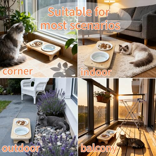 Raised Cat Food Bowls with 15° Tilt & Wood Base – Cat Food and Water Bowl Set, Upgraded Anti-Vomit Feeder Station with 2 Ceramic Dishes for Your Kitten or Puppy, Dishwasher Safe
