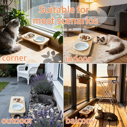 Raised Cat Food Bowls with 15° Tilt & Wood Base – Cat Food and Water Bowl Set, Upgraded Anti-Vomit Feeder Station with 2 Ceramic Dishes for Your Kitten or Puppy, Dishwasher Safe