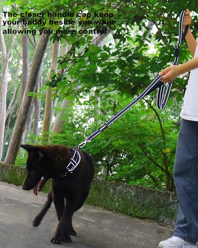 AUBELL Double Handle Tactical Dog Leash Heavy Duty for Small and Medium Large Dogs,Reflective Adjustable Nylon Leash that Pull with Car Seatbelt for Training,4.5-6FT,Black - color: No bungee-Black(4.5-6FT)