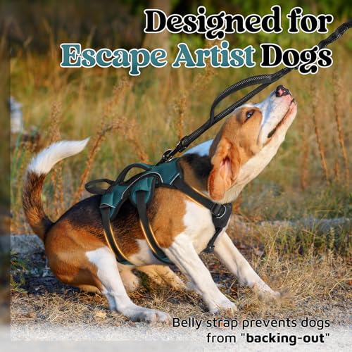 rabbitgoo Escape Proof Dog Harness Small Sized Dog, Soft Padded Full Body Pet Harness, Reflective Adjustable Vest with Lift Handle and Leash Clip for Walking Hiking Training, Dark Green, S - color: Dark Green, size: Small (Pack of 1)